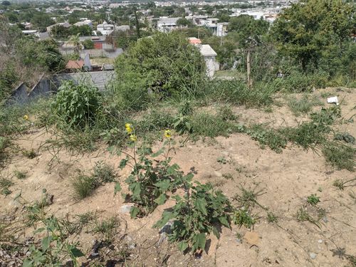 Jv Venta De Terreno En Col Jardines De La Silla