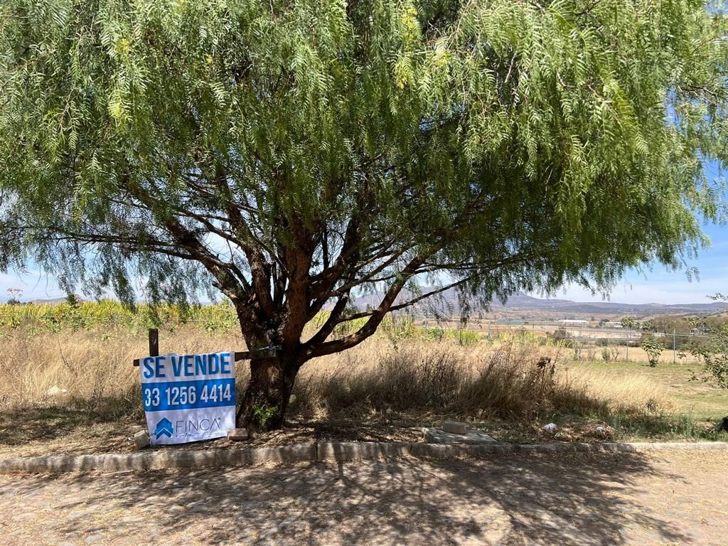 Terreno En Venta En Circuito Tala El Arenal El Arenal Jalisco