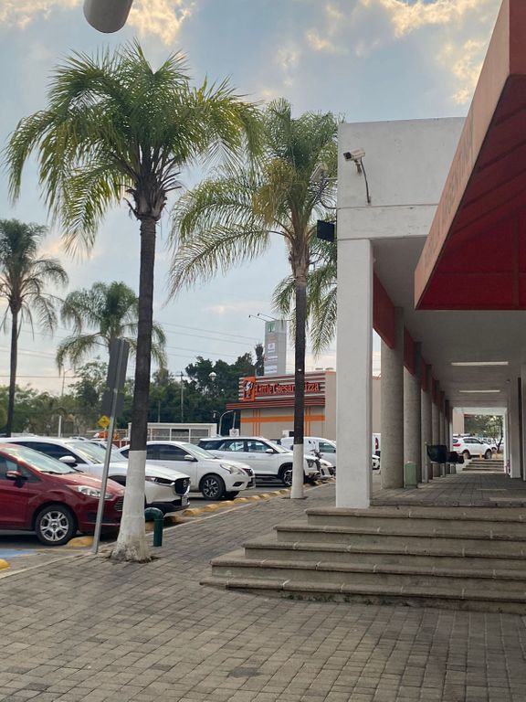 Local Comercial en Renta en Plaza Los Sauces