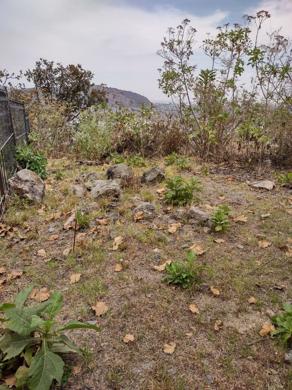 Terreno en Venta Ciudad Bugambilias