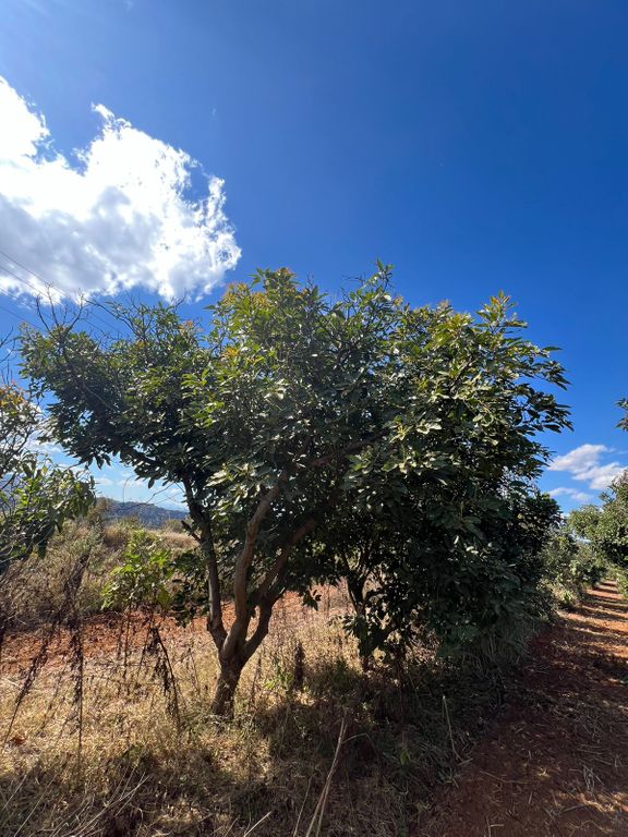 Terreno En Venta En San Juanito De Escobedo