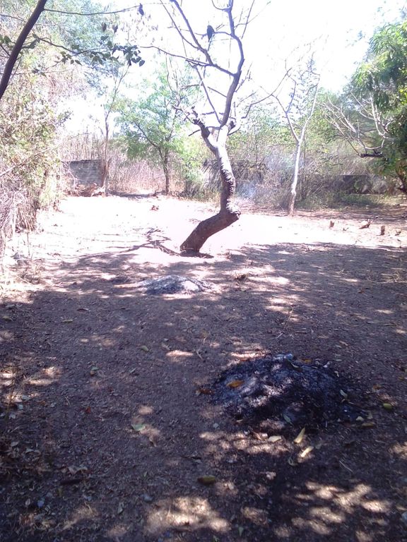 Venta Terreno / Lote Las Palmas - Iguala de la Independencia