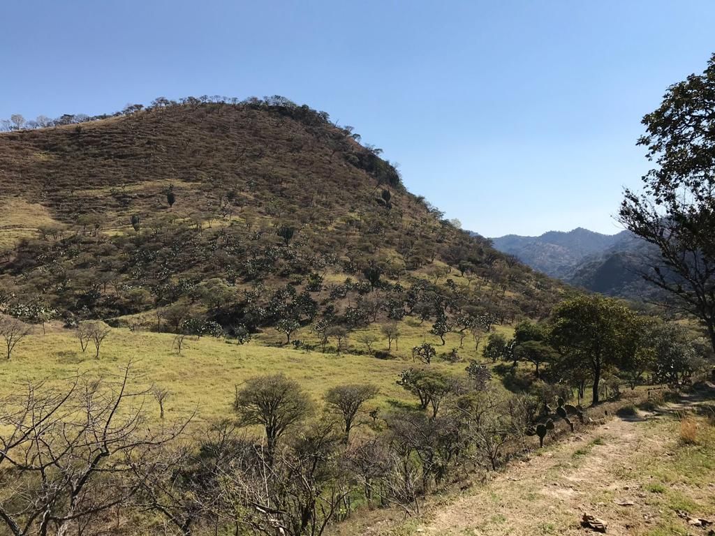 Terreno en Venta, Hacienda La Providencia.