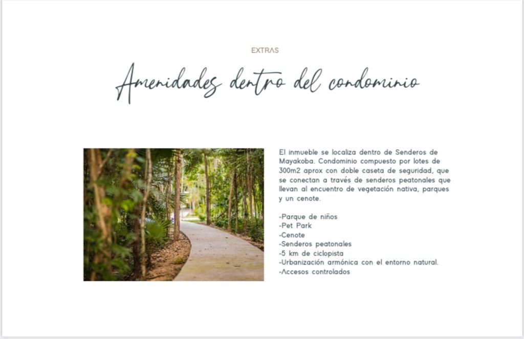 Imagen secundaria