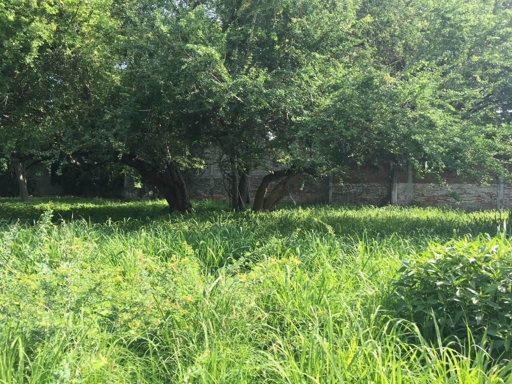 Terreno en Venta en El Centro de Colima
