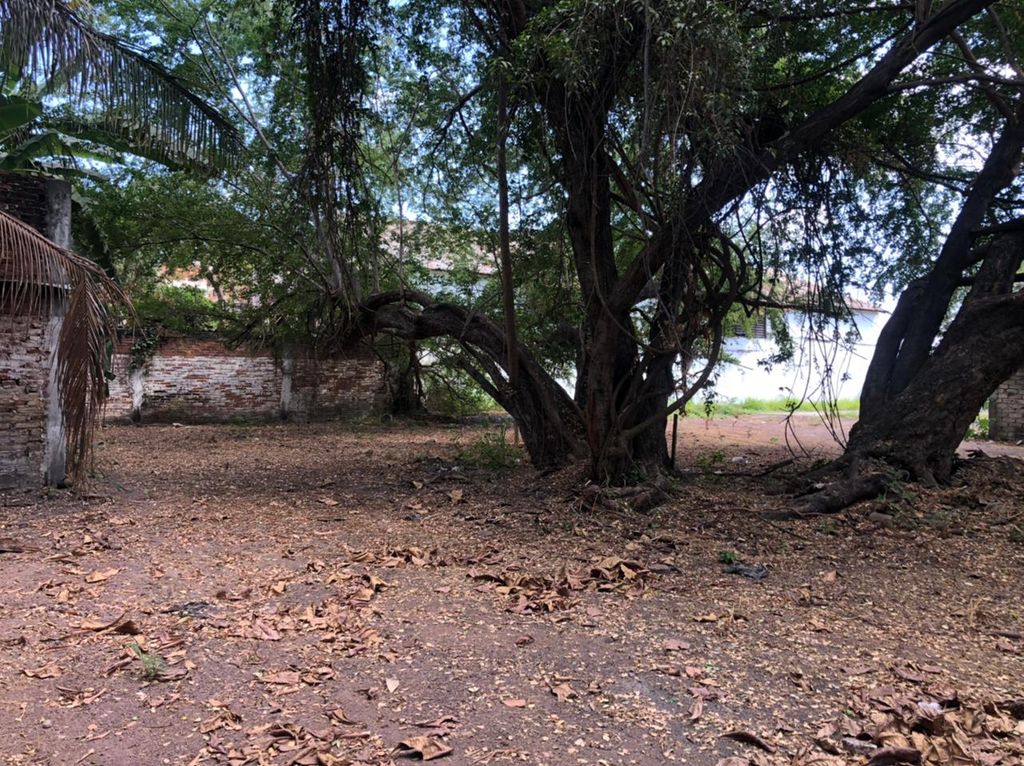 Terreno en Venta en El Centro de Colima