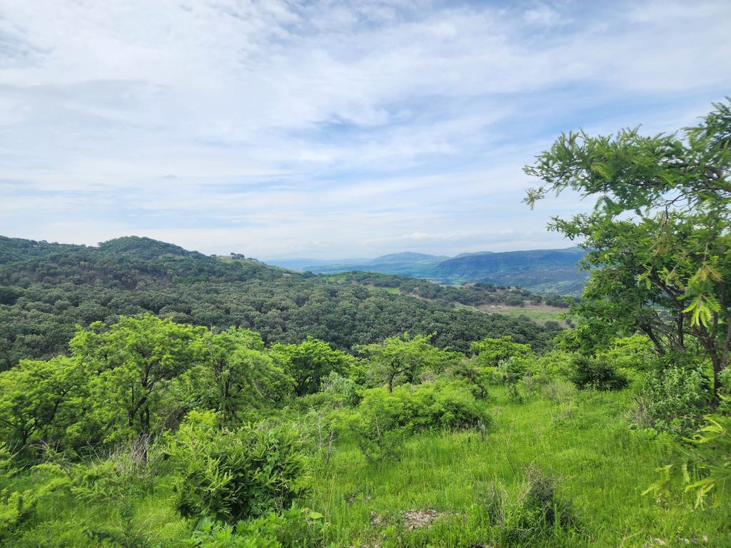 TERRENO EN VENTA COL. SANTA LUCIA ZAPOPAN, JAL.