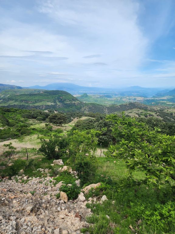 TERRENO EN VENTA COL. SANTA LUCIA ZAPOPAN, JAL.