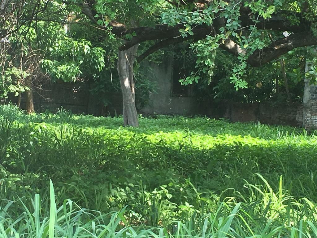 Terreno en Venta en El Centro de Colima