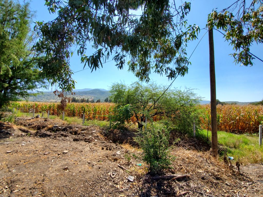 Terreno en Venta en Tlajomulco, Cto. Metropolitano