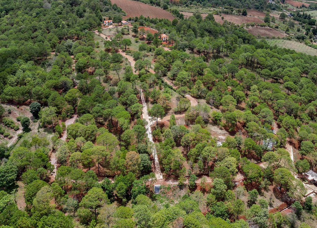 Terreno en venta Bosque Real Mazamitla