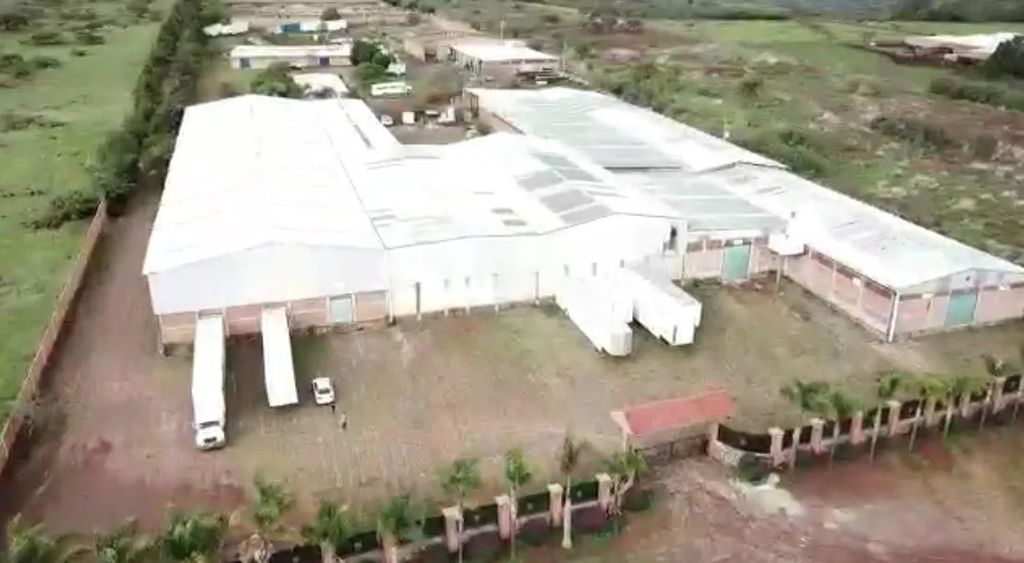 Conjunto de Bodegas en El Salto