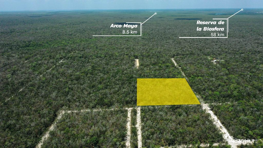 Tulum: Region 15 / Av. Zapote / 301 /- 10,000 m²  4