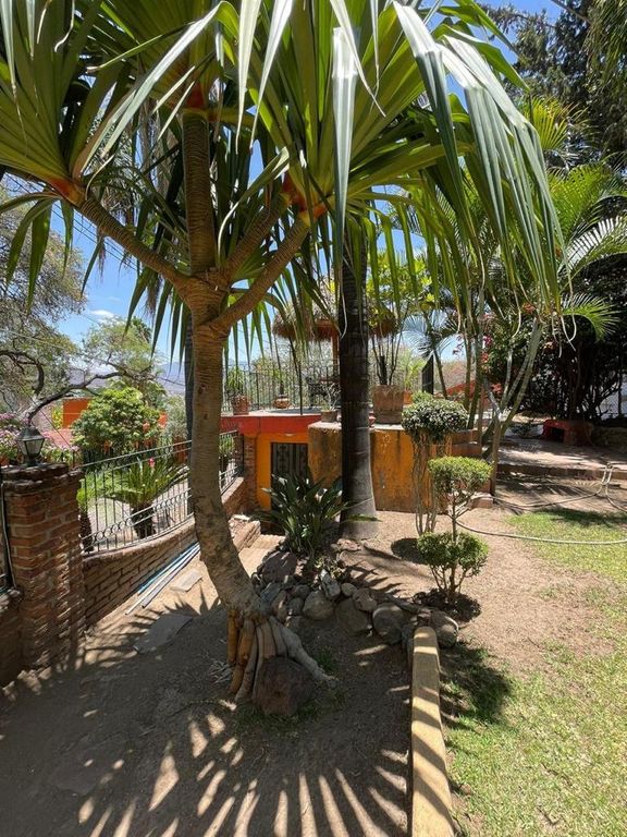 Imagen secundaria