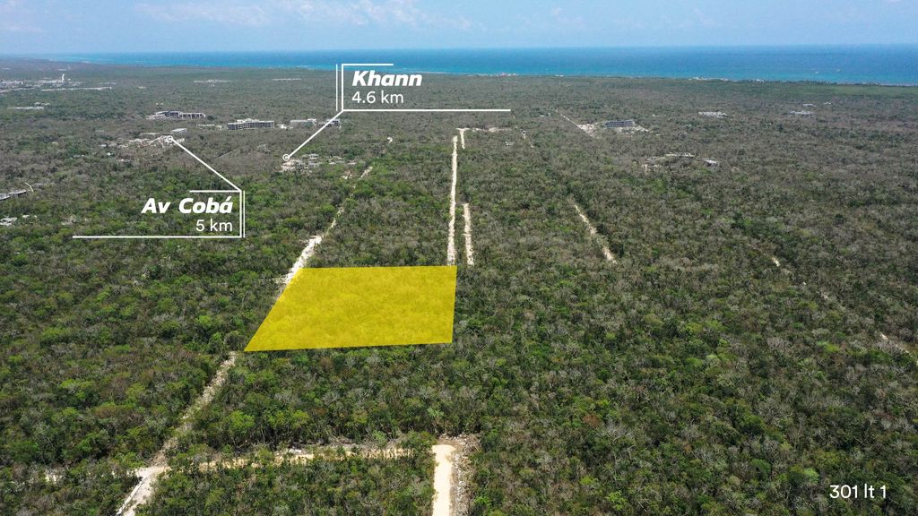 Tulum: Region 15 / Av. Zapote / 301 /- 10,000 m²  2