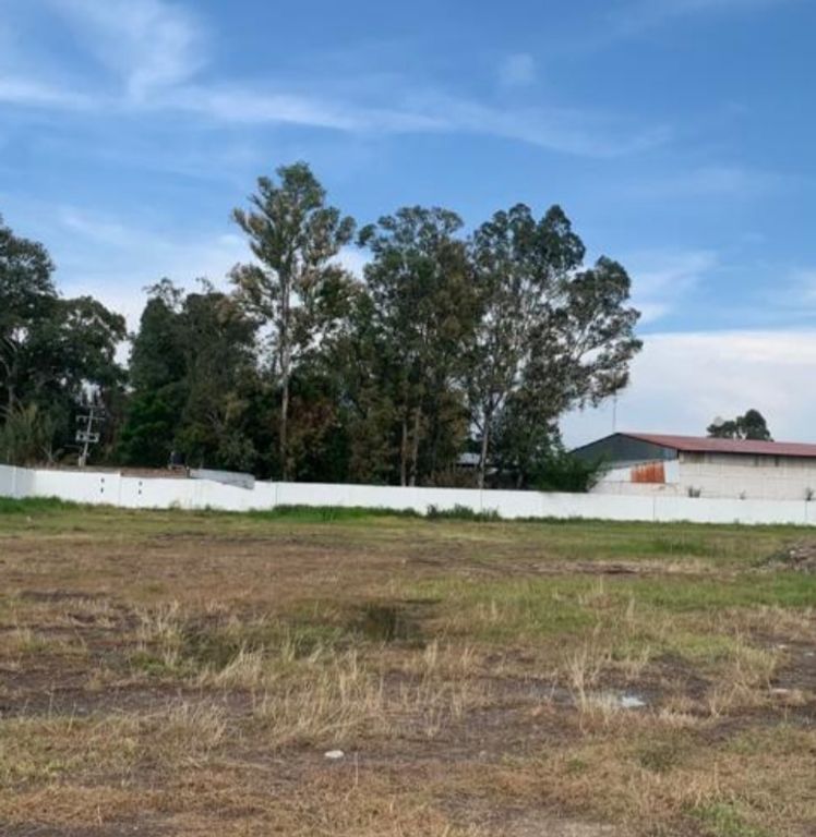Imagen secundaria
