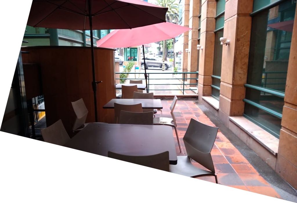 OFICINAS EN RENTA SOBRE PASEO DE LAS PALMAS