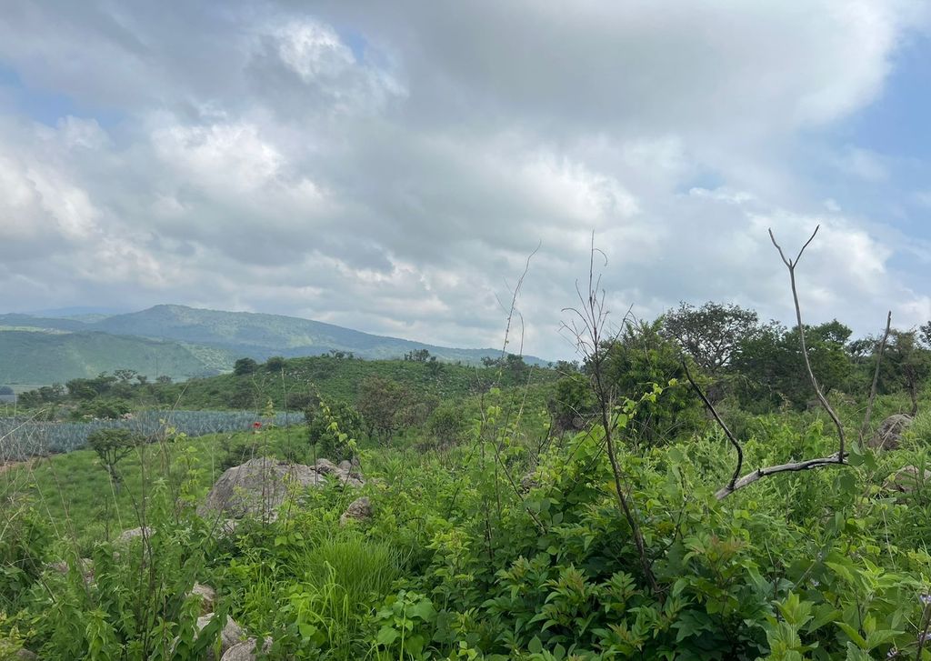 Terreno en Venta $11,250,000