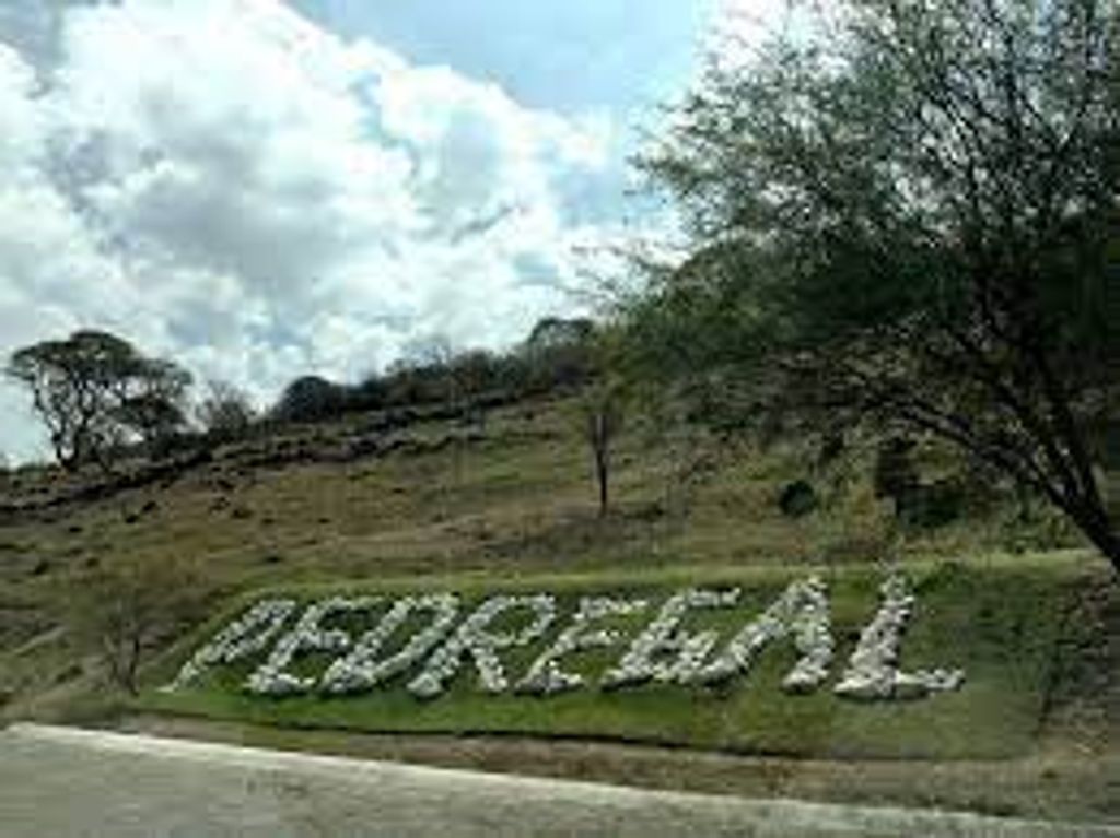 Terreno Panoramico en Pedregal de San Miguel
