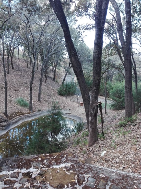 Terreno Campestre en venta Jalisco