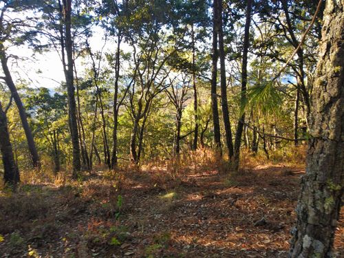 Terreno en venta en Atemajac de Brizuela, Jalisco