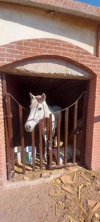 Casa en venta y renta en el potrerillo- CAJITITLÁN
