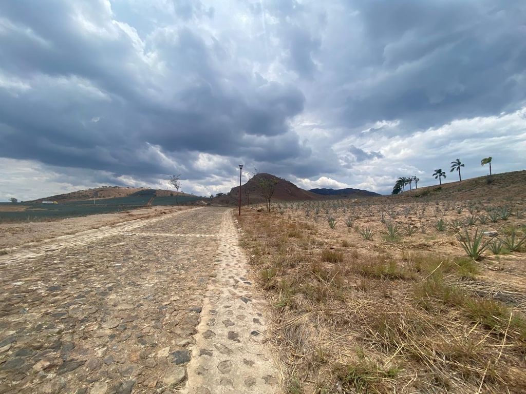 Santa Sofía, el Arenal, terrenos en venta Coto Ganaderos