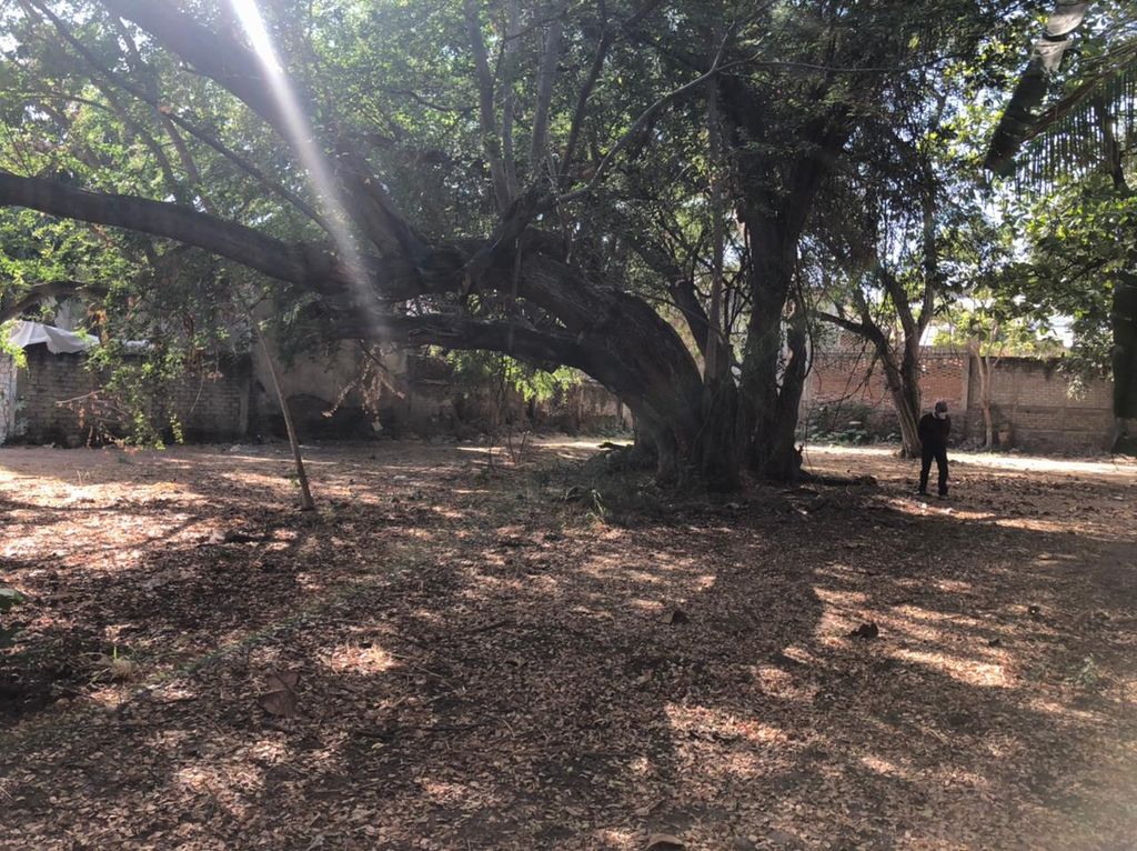 Terreno en Venta en El Centro de Colima