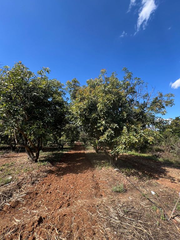 Terreno En Venta En San Juanito De Escobedo