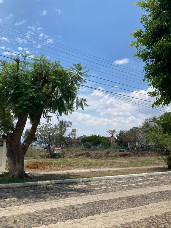 Imagen secundaria