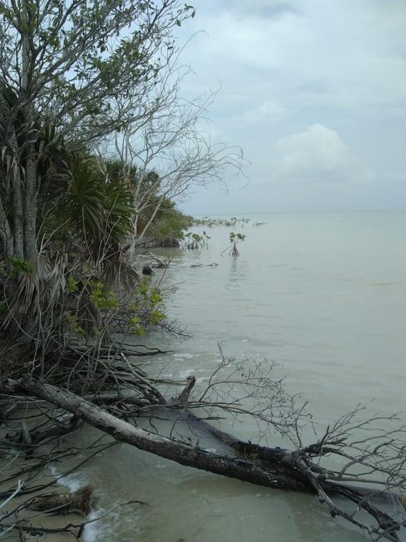Terreno en Venta frente a playa Quintana Roo