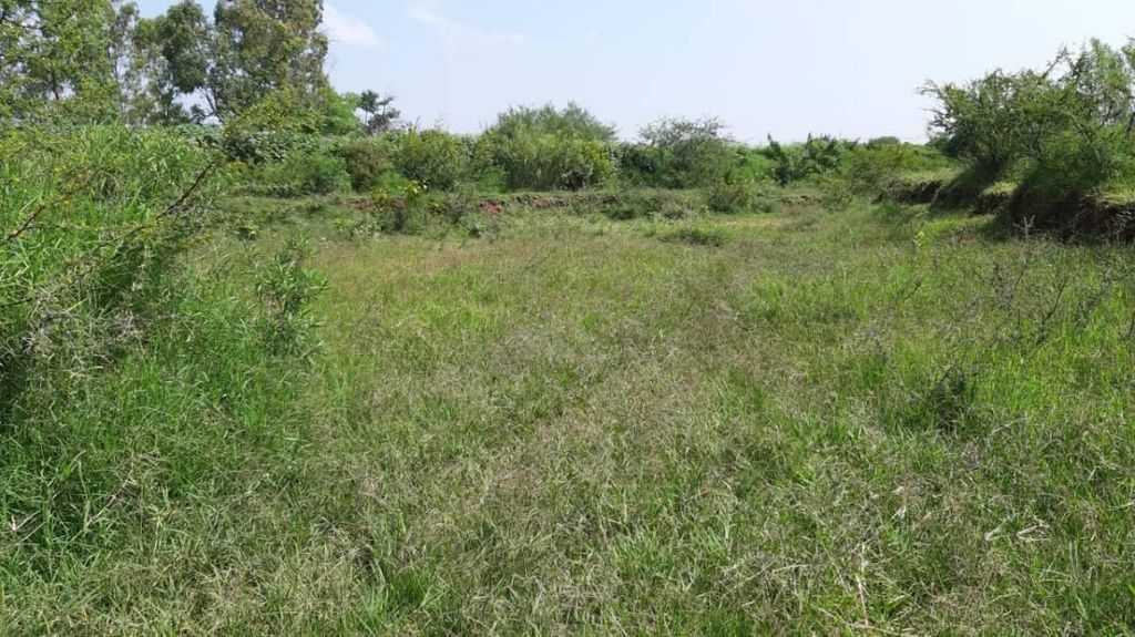 TERRENO EN VENTA EN FRACC SAN DIEGO