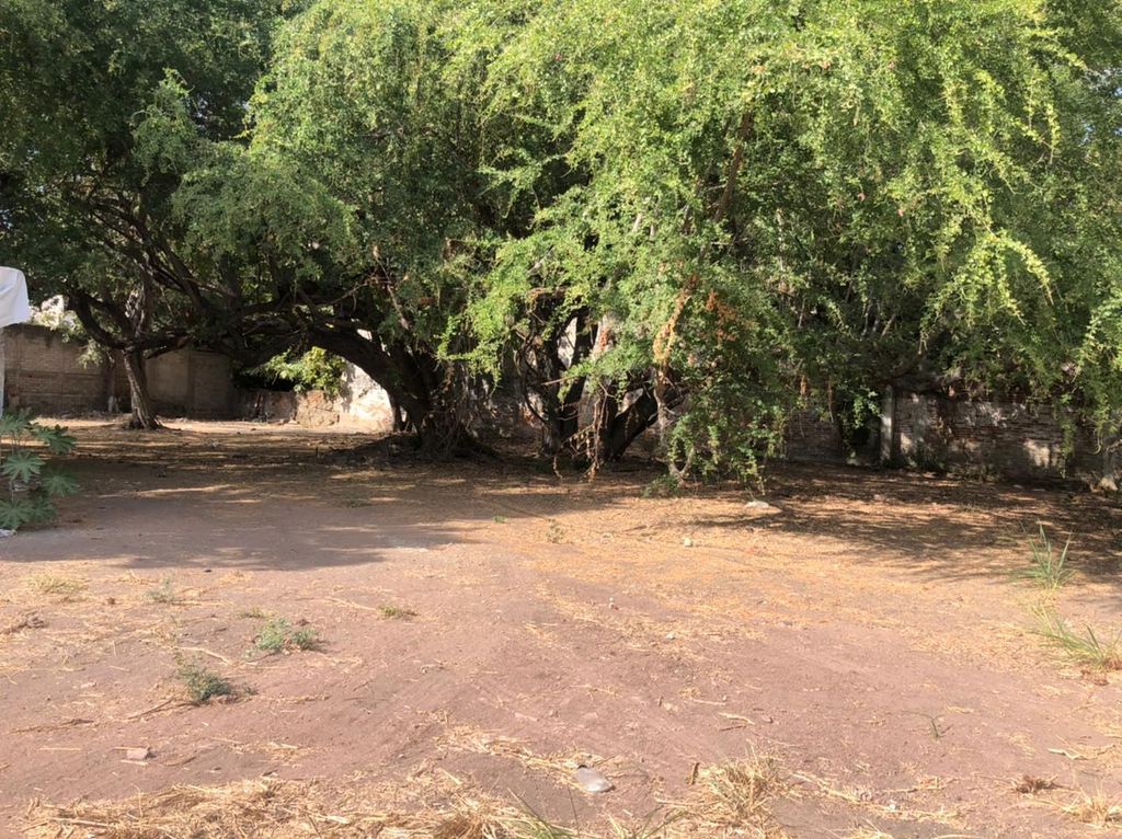 Terreno en Venta en El Centro de Colima