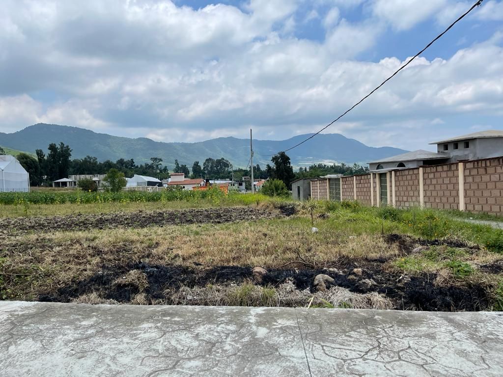 TERRENO EN VENTA EN TENANCINGO - Wiggot