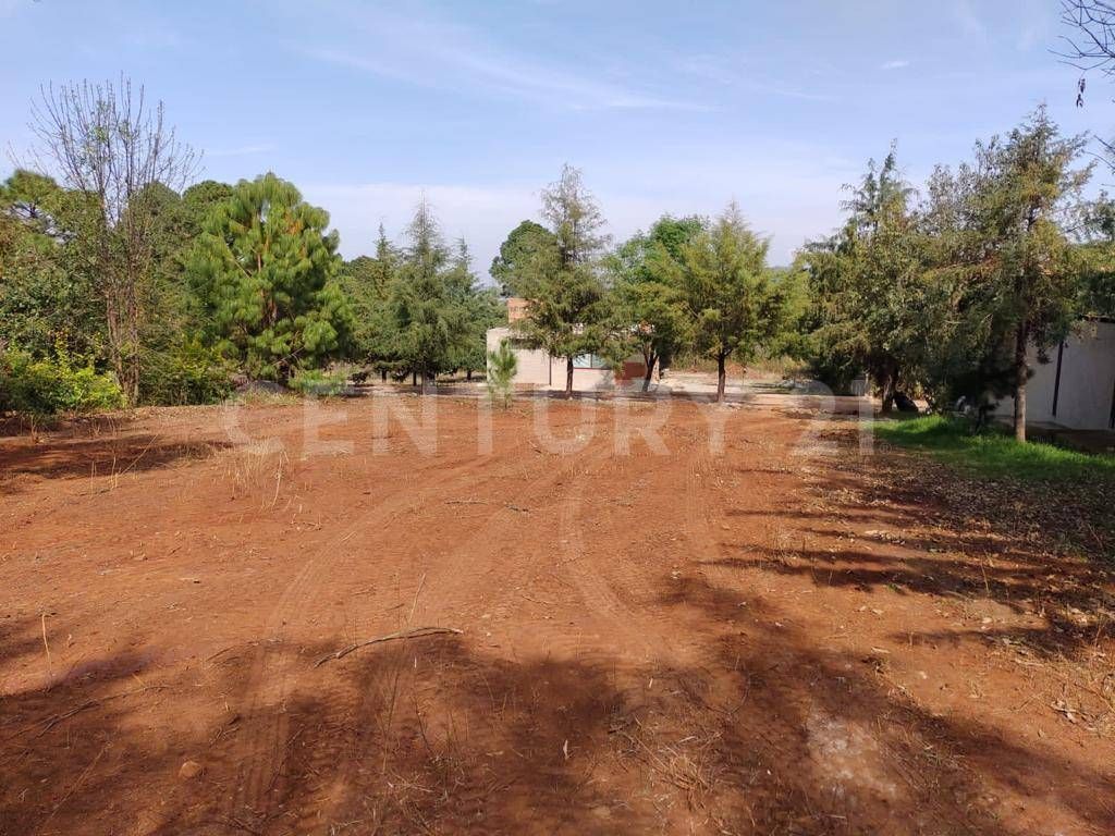 TERRENO EN VENTA