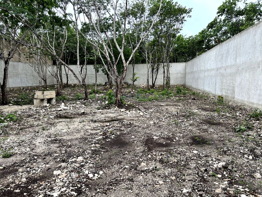 Terreno en renta