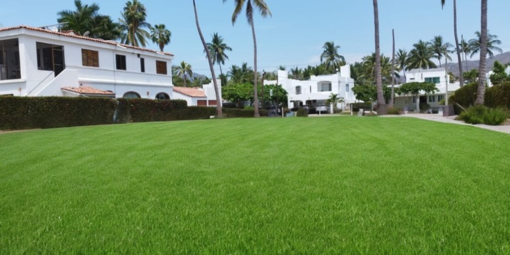 Terreno En Venta A Pie De Playa, Manzanillo