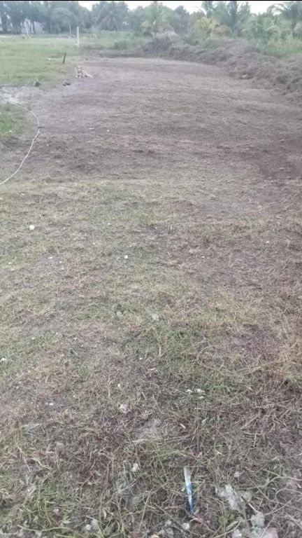 Terreno en Telchac Puerto Yucatán