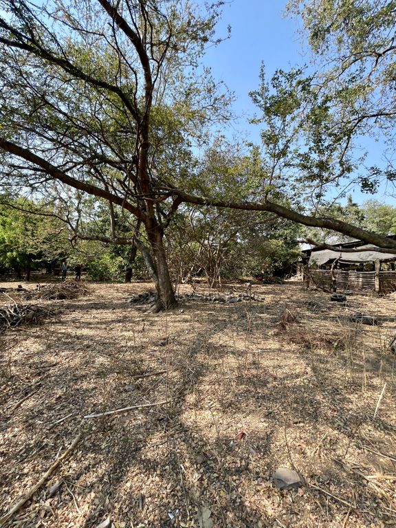 Terreno en Venta Periférico Sur, Adolf Horn.
