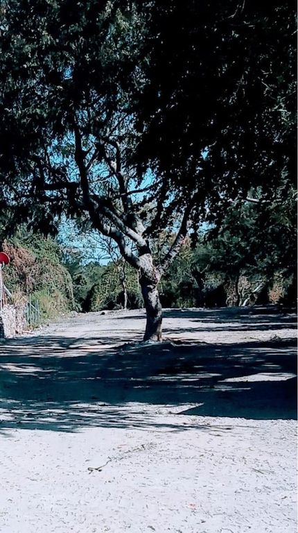 Terreno en venta en Santa Cruz De La Soledad