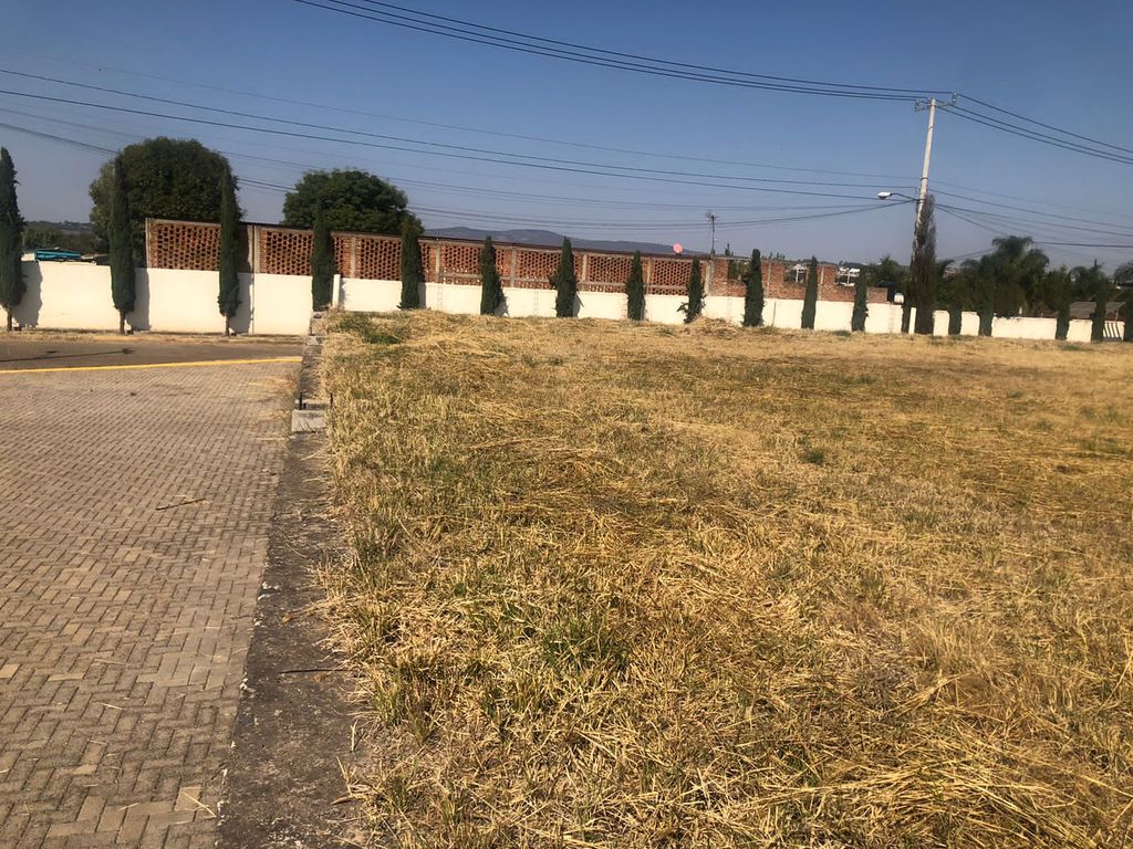 Imagen secundaria