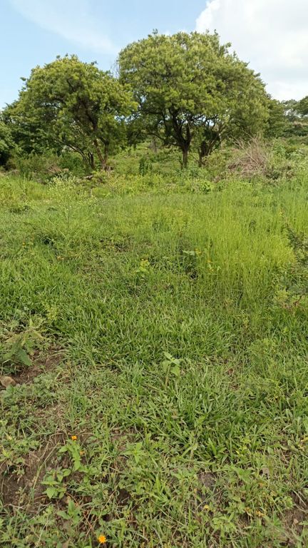 Terreno En Venta En Ixtlahuacan De los Membrillos