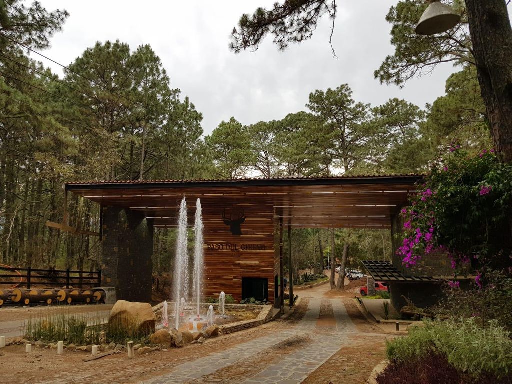 Cabaña En Venta En Paseo Del Ciervo Mazamitla