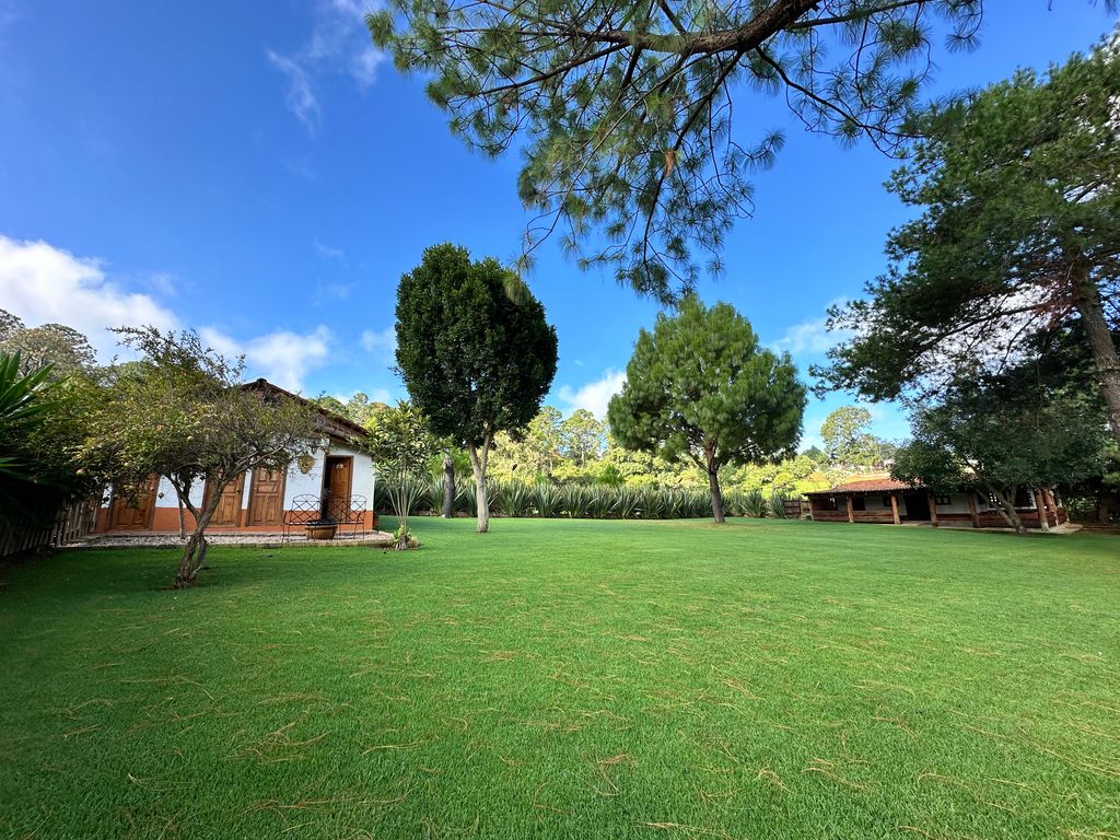 Imagen secundaria