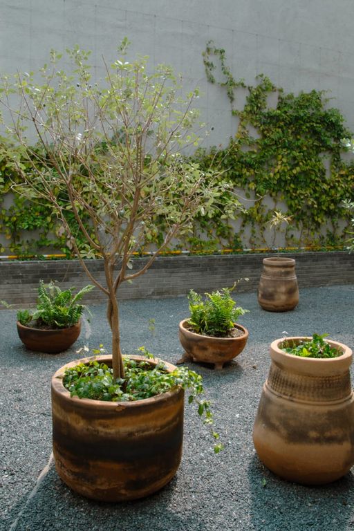 DEPARTAMENTO EN VENTA EN TORRE WILL