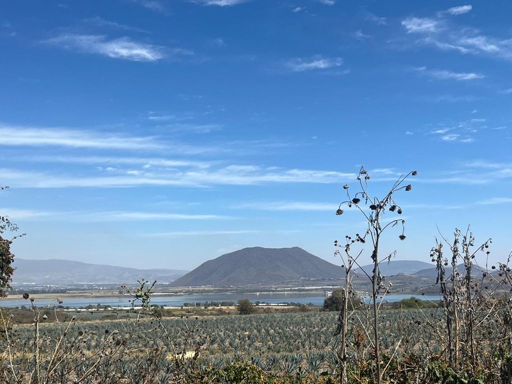 venta de Rancho Bellavista
