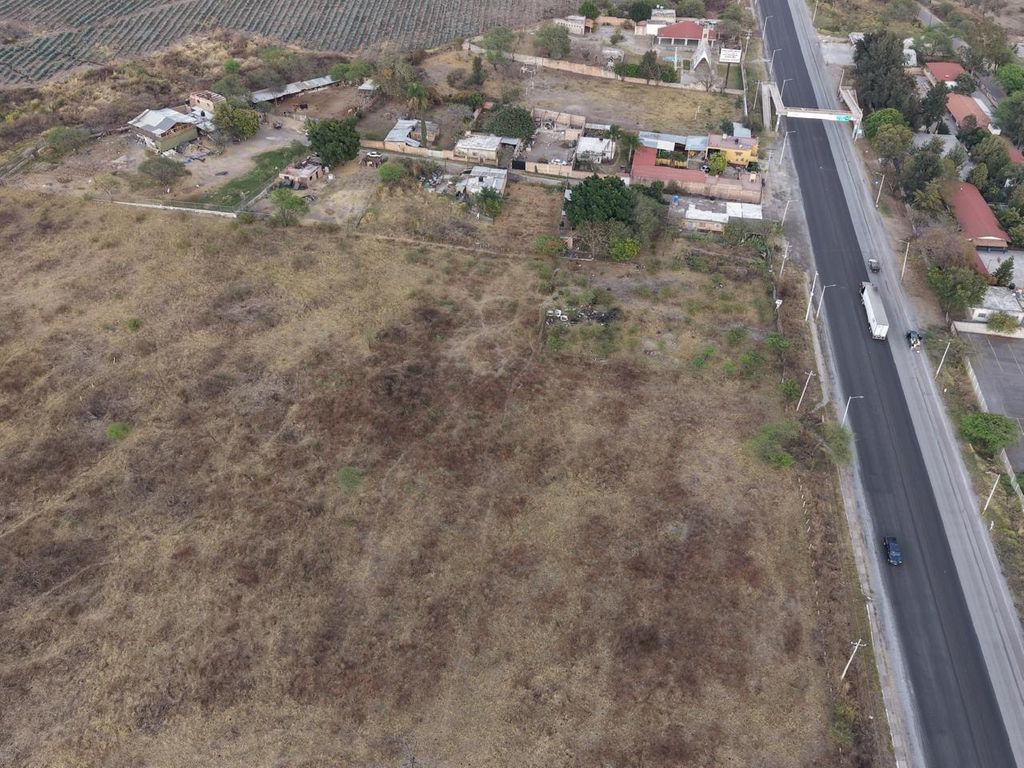 40 Hectáreas en Venta