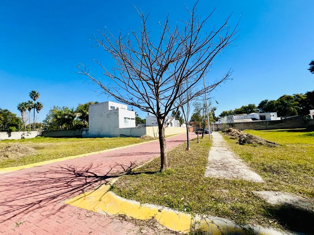 Terreno En Venta En Bugambilias