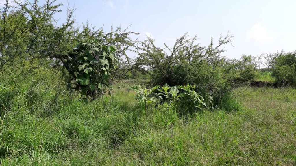 TERRENO EN VENTA EN FRACC SAN DIEGO