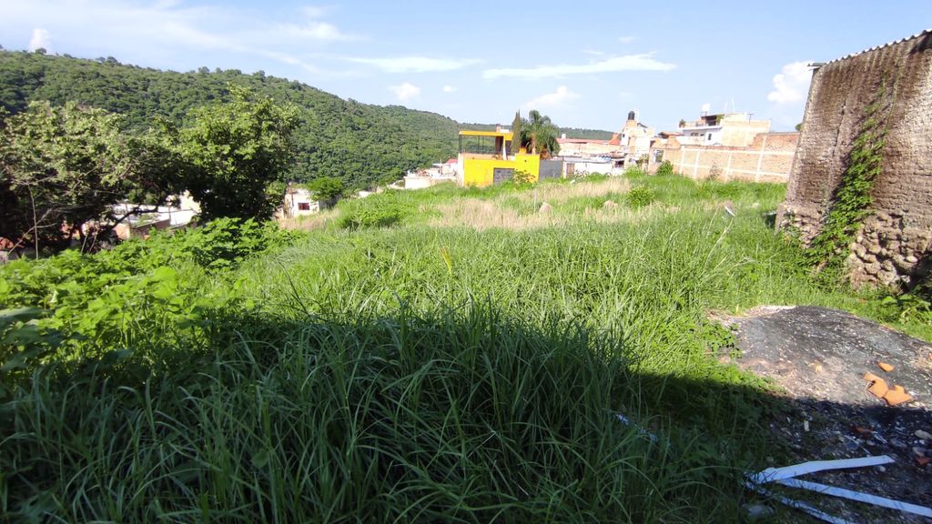 Imagen principal